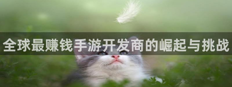 28大神开奖软件：全球最赚钱手游开发商的崛起与挑战