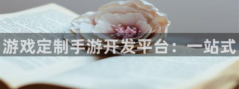 28大神开奖查询