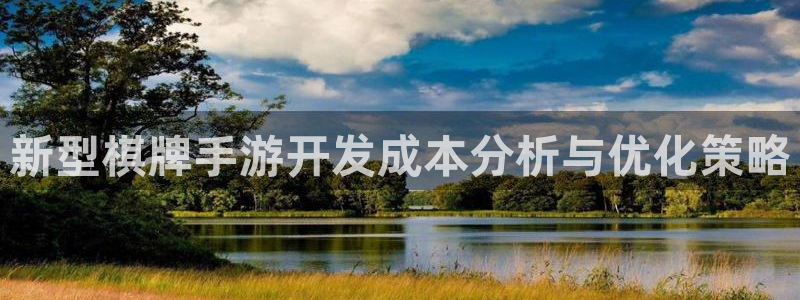 28大神预测神测网：新型棋牌手游开发成本分析与优化策略