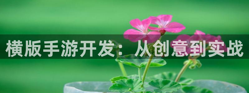 28大神官网预测：横版手游开发：从创意到实战